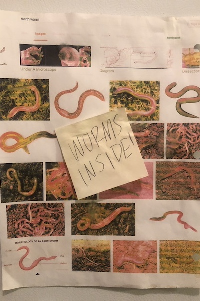 photo from Ryanโs fridge with a printed page of Google Images results for โearth wormโ and a Post-itยฎ that reads โWORMS INSIDE!โ